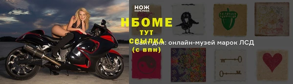 гашик Снежногорск