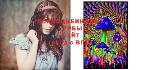 MDMA Богданович