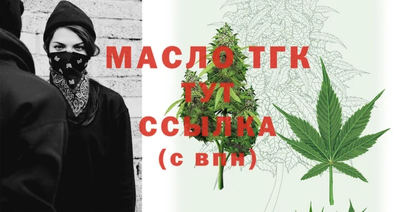 гашик Снежногорск