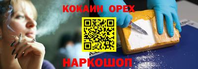 шишки Дубна