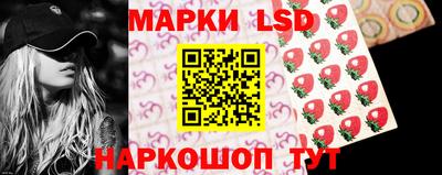 стафф Донецк