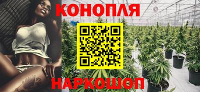 шишки Дубна