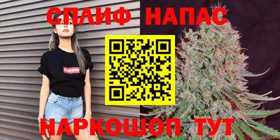 шишки Дубна
