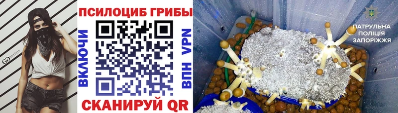 ссылка на мегу ТОР Стерлитамак Галлюциногенные грибы мицелий