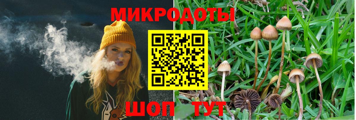 Галлюциногенные грибы мухоморы Стерлитамак