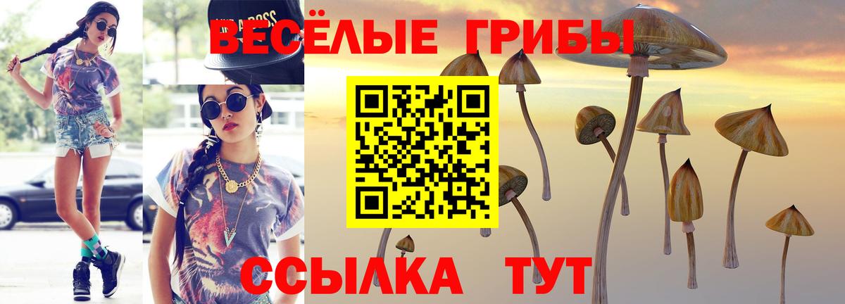 Псилоцибиновые грибы GOLDEN TEACHER  Вход с VPN  цены   Стерлитамак  Псилоцибиновые грибы Cubensis 